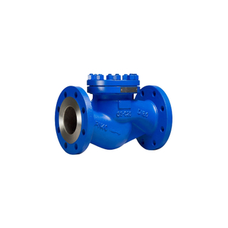 API Spec 6A Wellhead Stainless Steel Swing One Way Check Valve